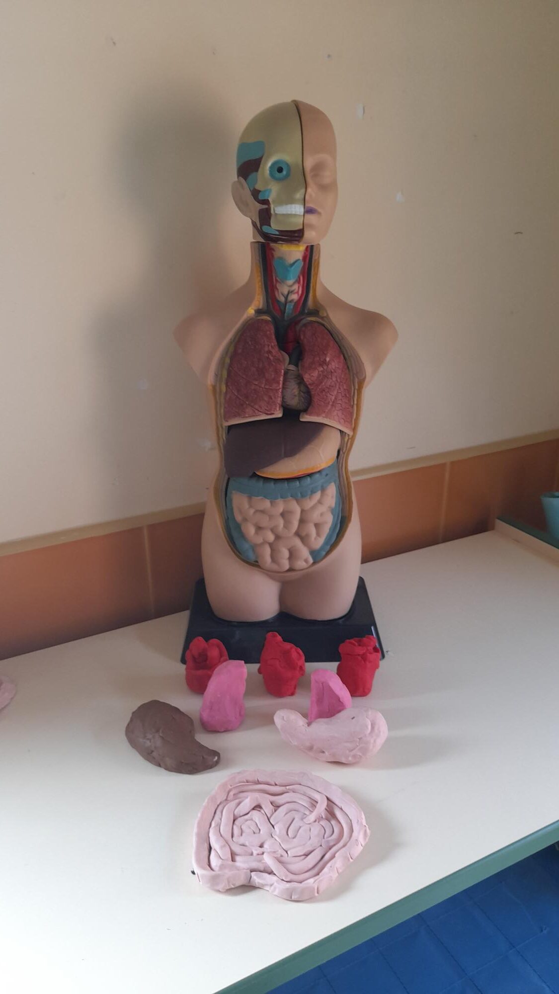 Identificación sensorial de picos B