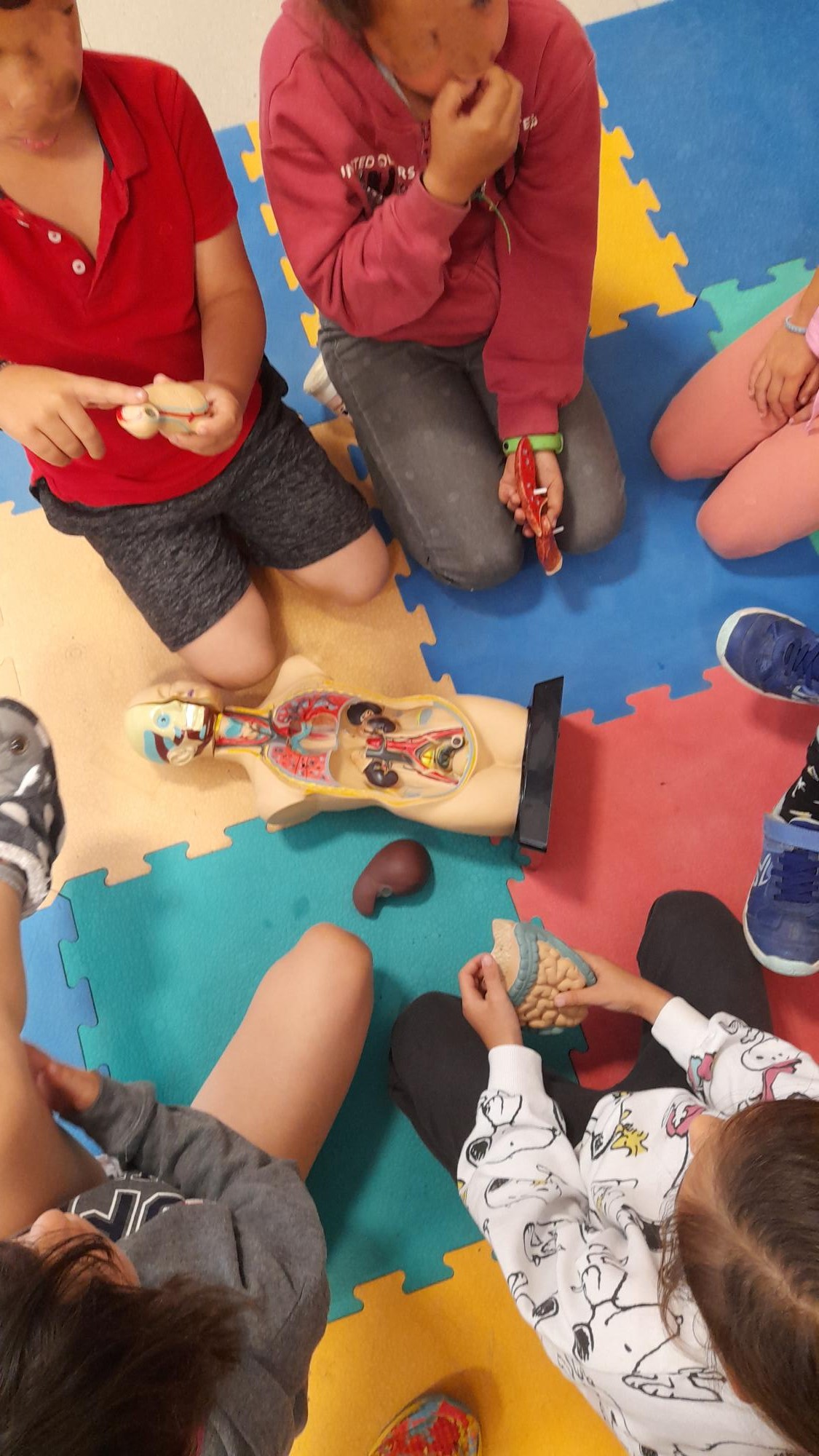 Identificación sensorial de picos A